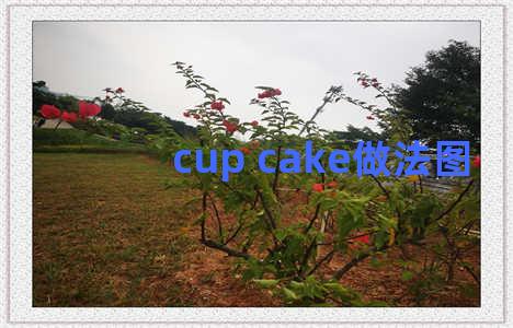 cup cake做法图